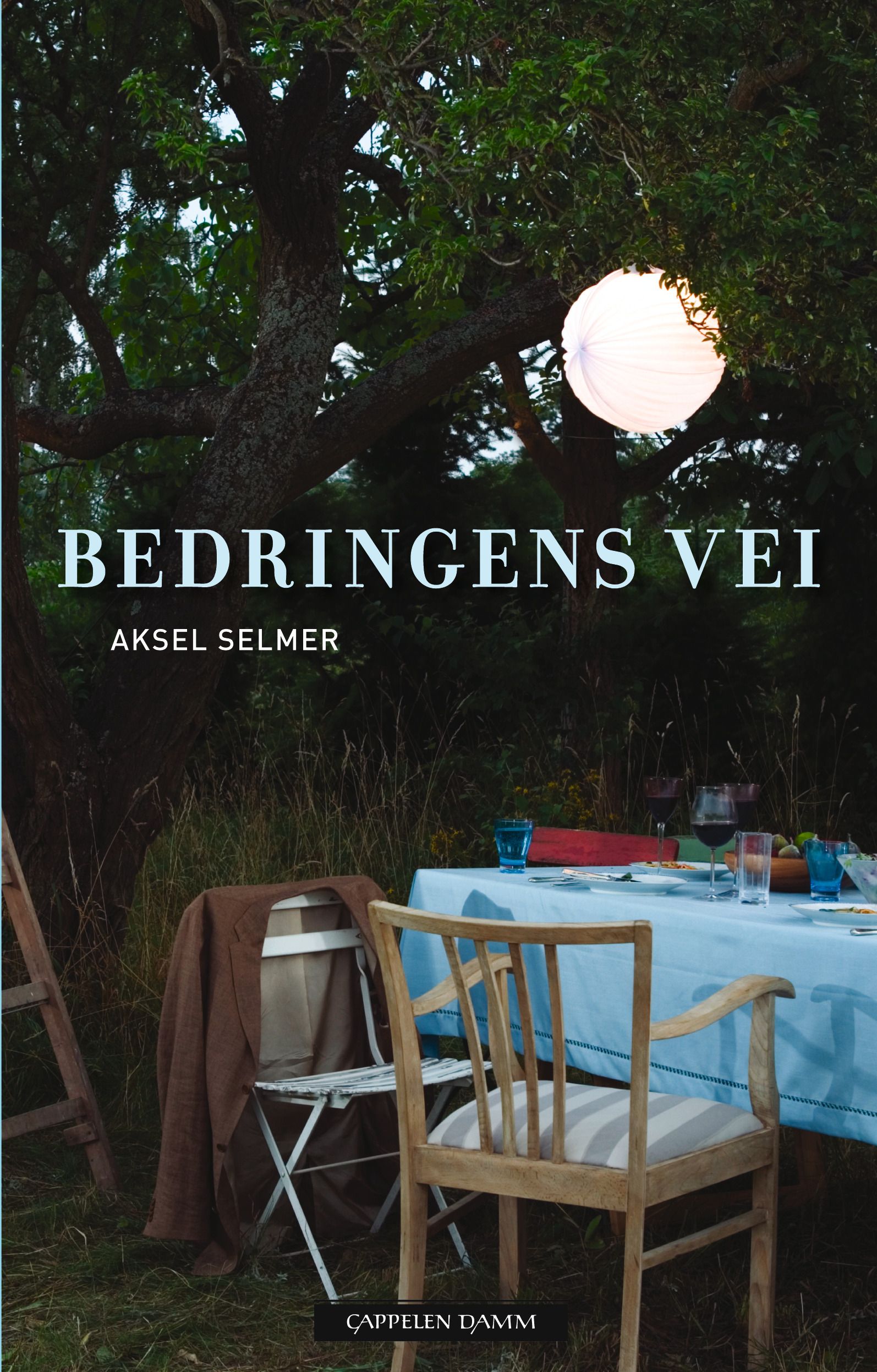 Bedringens vei