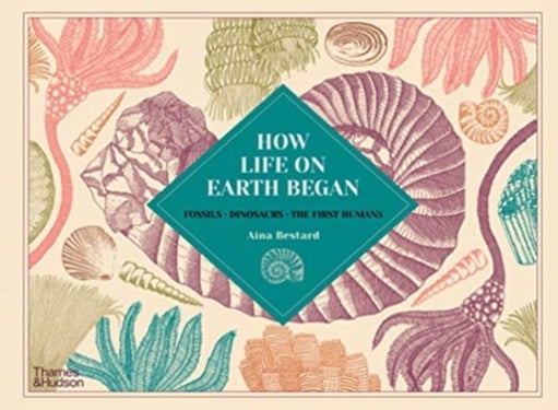 How Life on Earth Began - Fossils · Dinosaurs · The First Humans