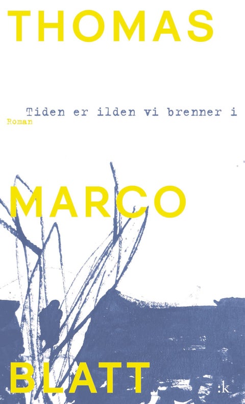 Tiden er ilden vi brenner i - roman