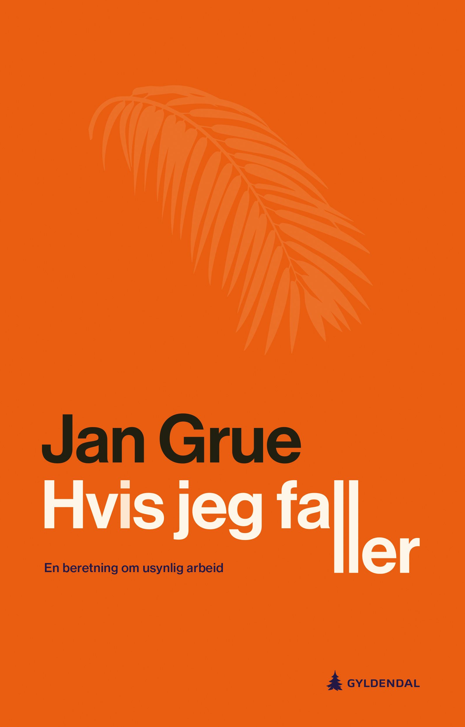 Hvis jeg faller - en beretning om usynlig arbeid