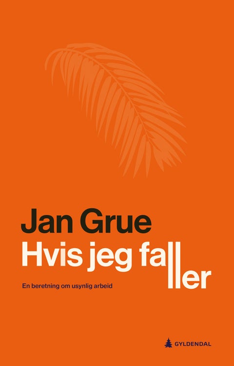 Hvis jeg faller - en beretning om usynlig arbeid