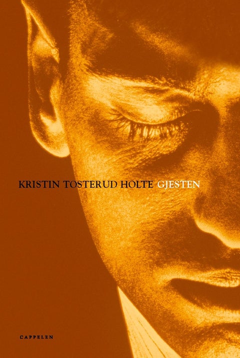 Gjesten - roman