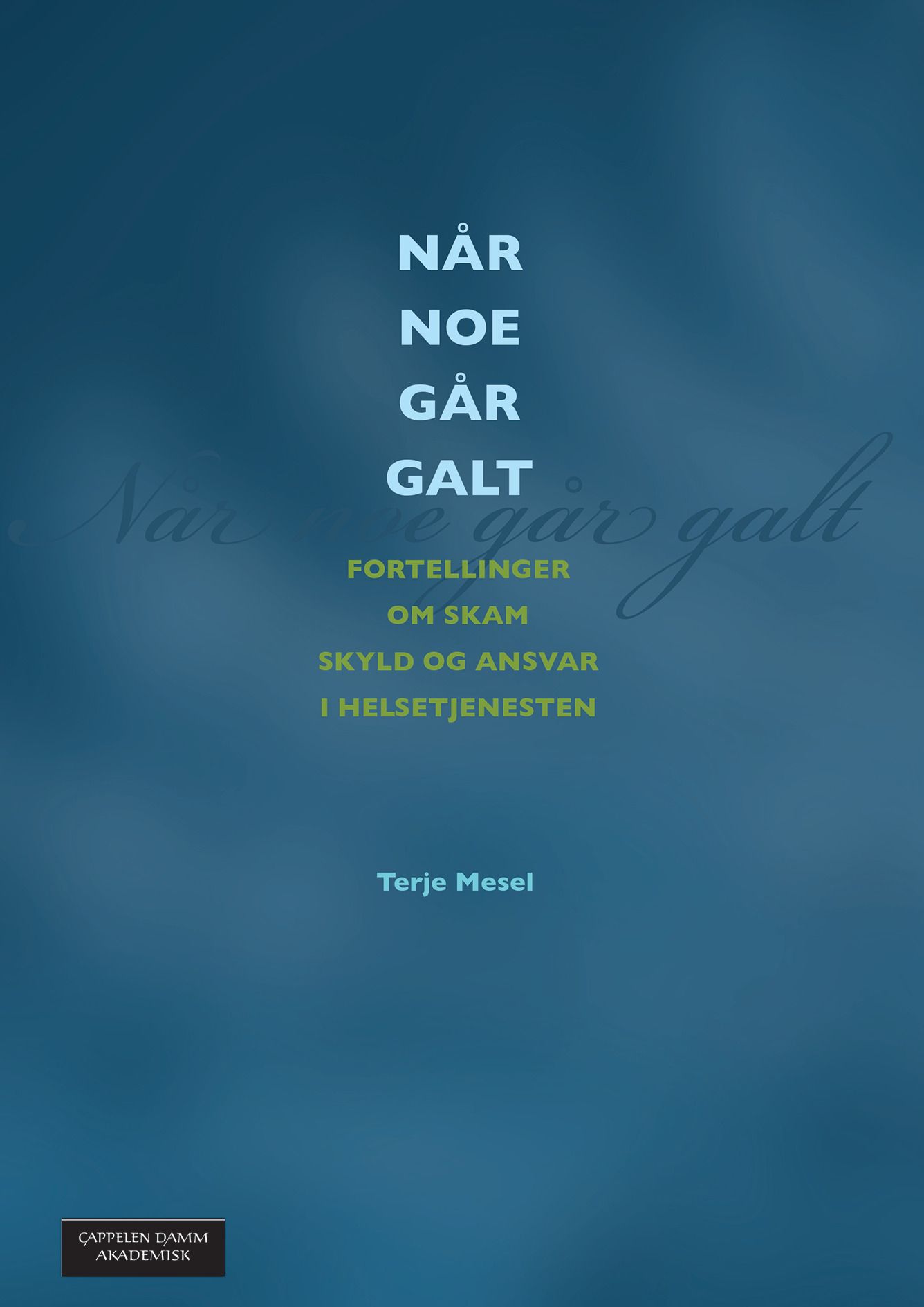 Når noe går galt - fortellinger om skyld, skam og ansvar i helsetjenesten