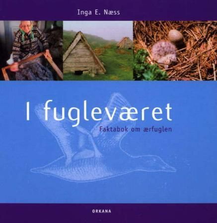 I fugleværet : faktabok om ærfuglen ; I fugleværet : fortellingen om Isa og Ea - faktabok om ærfuglen :