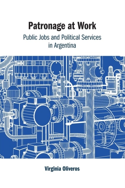 Patronage at Work - Public Jobs and Political Services in Argentina