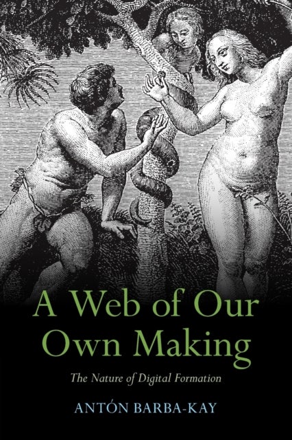 A Web of Our Own Making - The Nature of Digital Formation