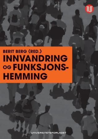 Innvandring og funksjonshemming - minoritetsfamilier i møte med tjenesteapparatet