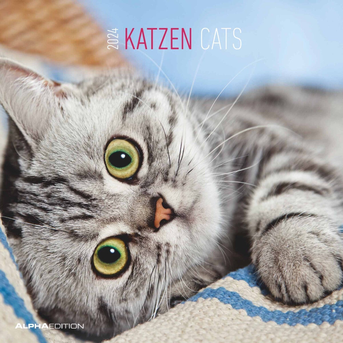 Kalender 2024 Cats 30x30cm