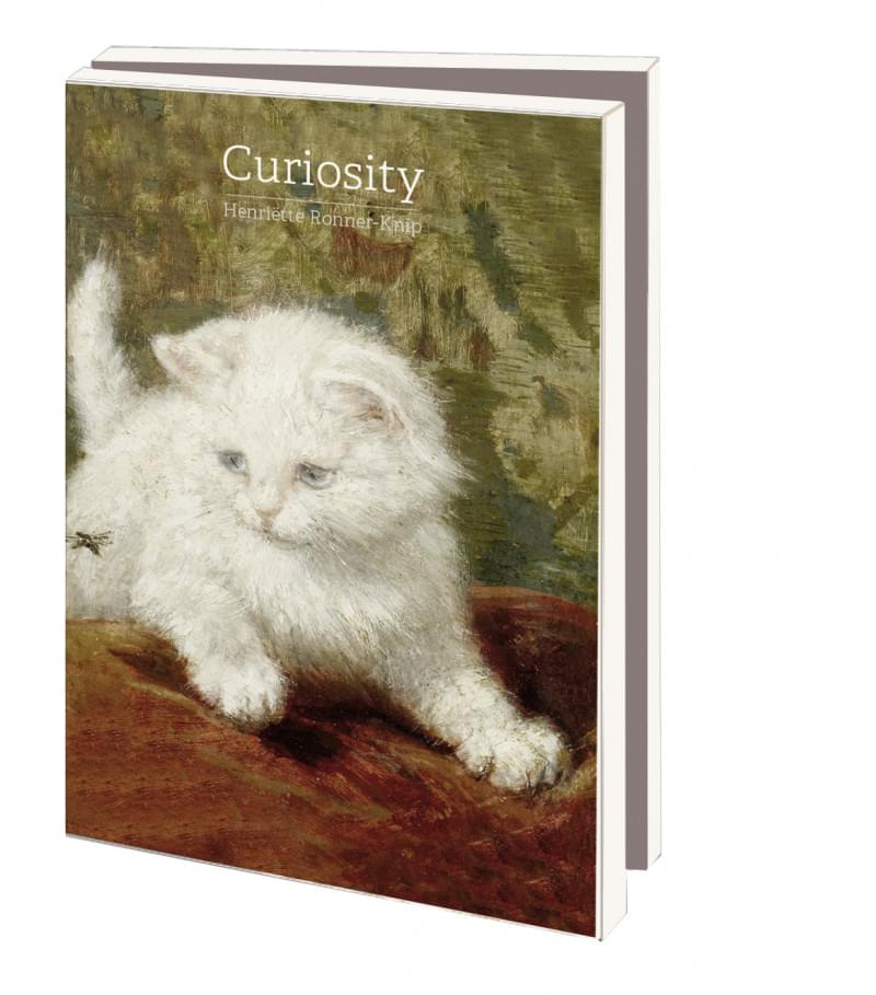 Kortmappe Curiosity