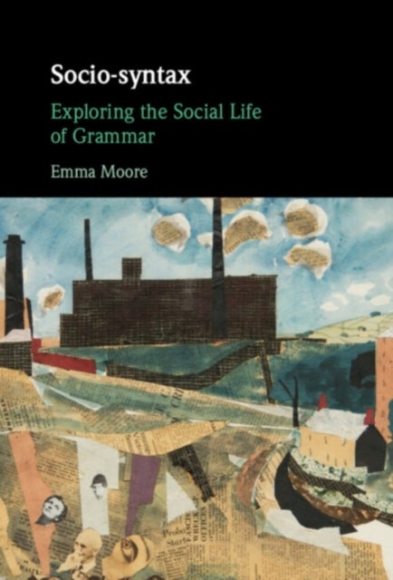 Socio-syntax - Exploring the Social Life of Grammar