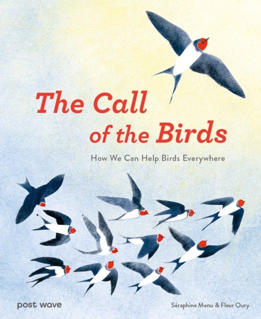 The Call of the Birds - How We Can Help Birds Everywhere