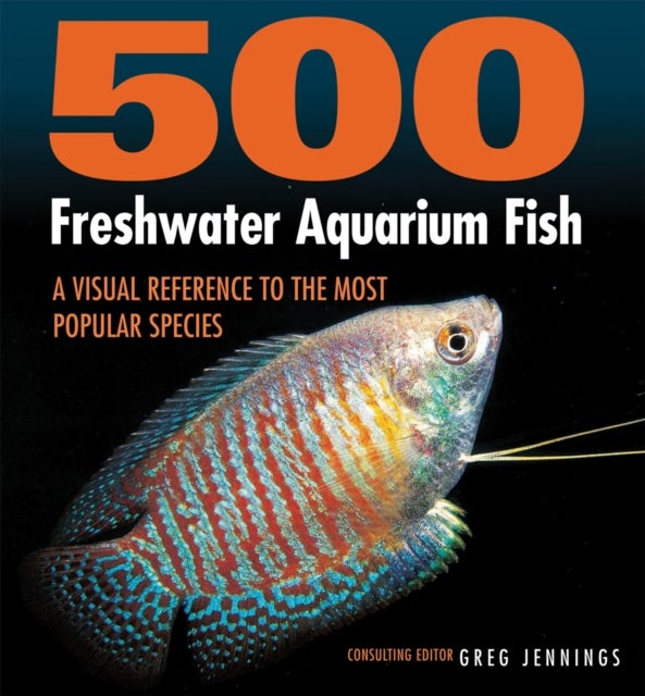 500 Freshwater Aquarium Fish av Greg Jennings
