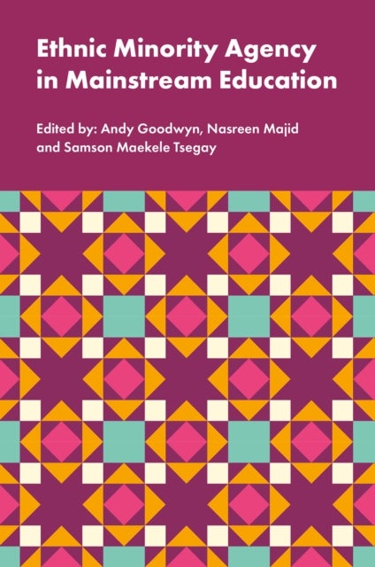 Ethnic Minority Agency in Mainstream Education - A Regional Perspective on a National Challenge