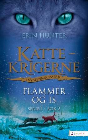 Flammer og is
