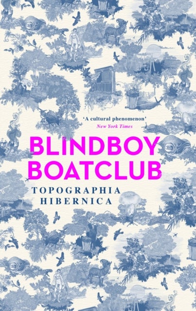 Topographia Hibernica - Acclaimed stories from the bestselling Irish author, podcaster, satirist and musician