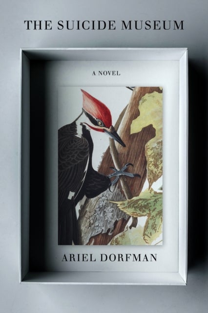 The Suicide Museum - A Novel
