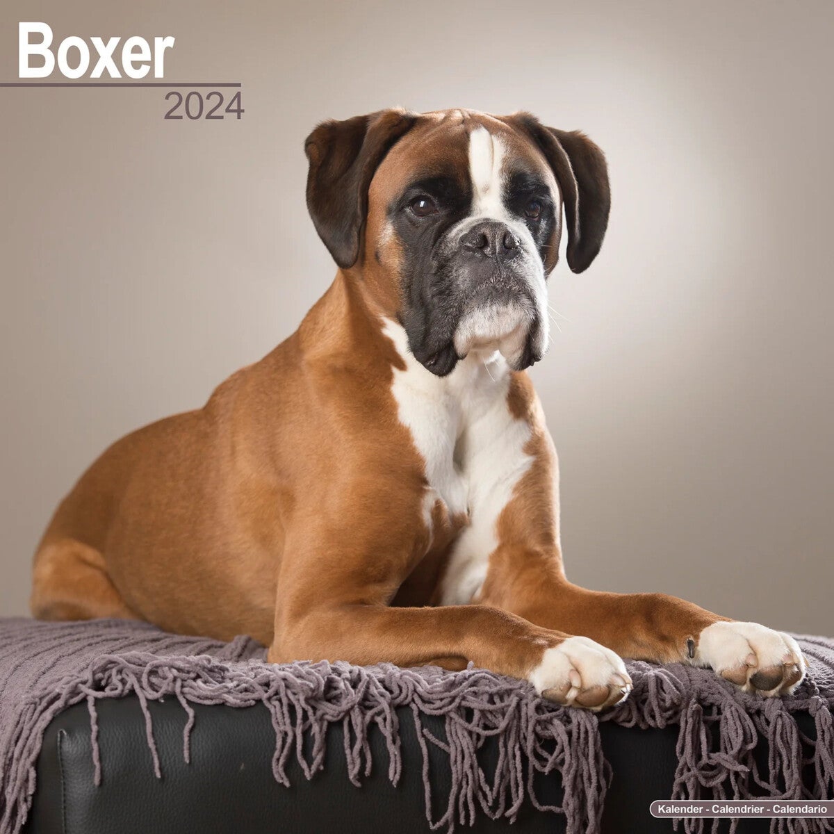Kalender 2024 Boxer 30x30cm