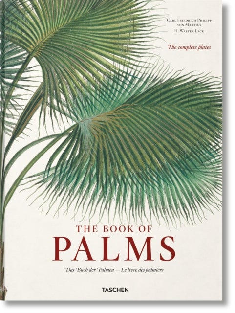 Martius - The Book of Palms