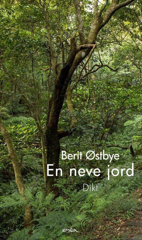 En neve jord - dikt
