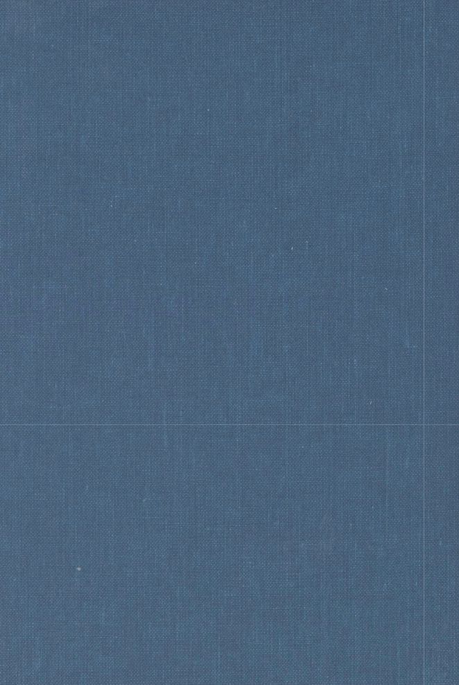 No lettar vi