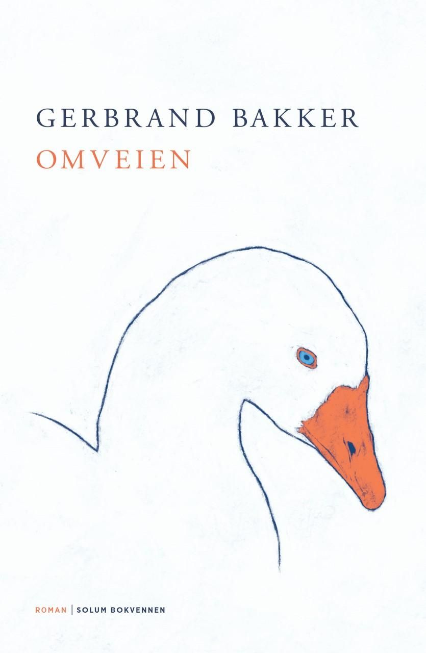 Omveien - roman
