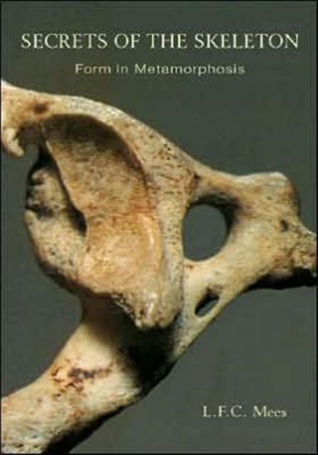 Secrets of the Skeleton - Form in Metamorphosis
