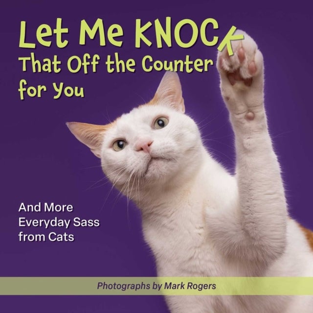 Let Me Knock That Off the Counter For You - And More Everyday Sass from Cats