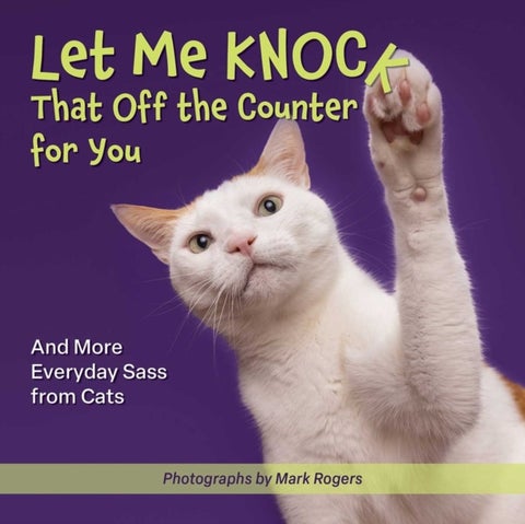 Let Me Knock That Off the Counter For You - And More Everyday Sass from Cats