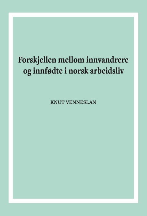 Forskjellen mellom innvandrere og innfødte i norsk arbeidsliv - 2009-2013 : en statistisk basert formanalytisk undersøkelse