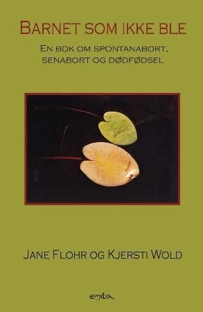 Barnet som ikke ble - en bok om spontanabort, senabort og dødfødsel