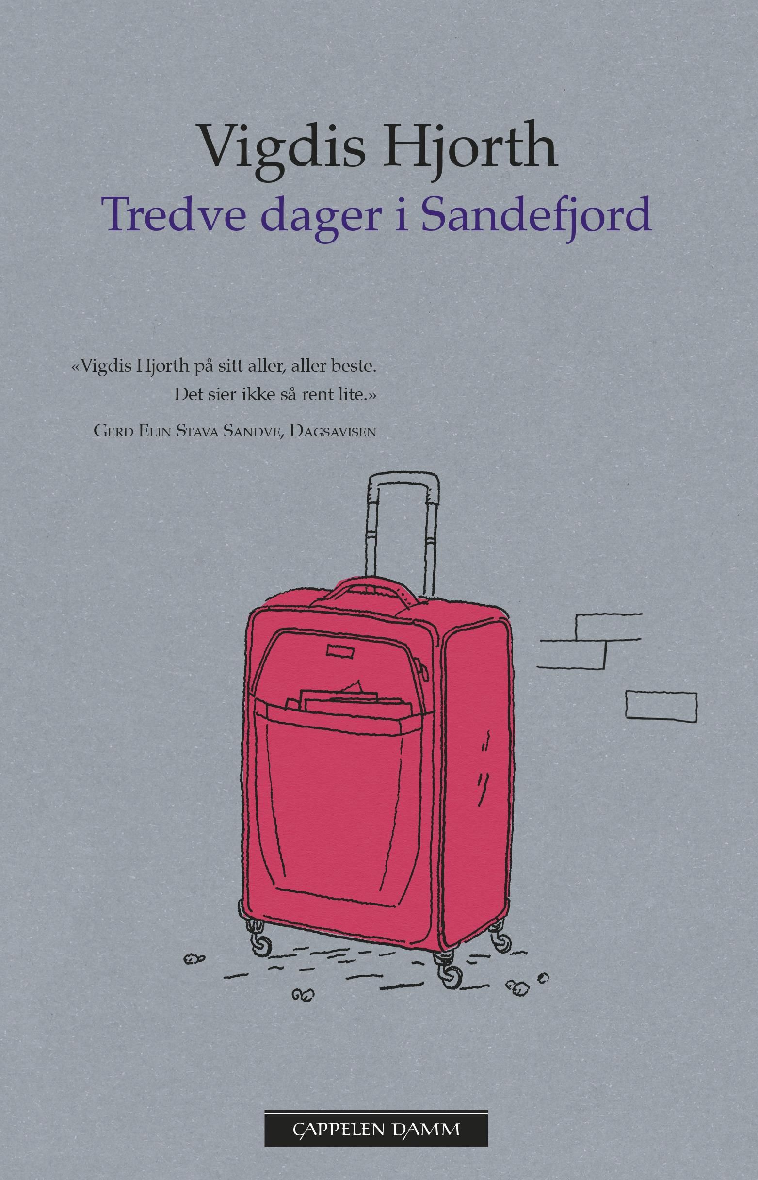 Tredve dager i Sandefjord - roman