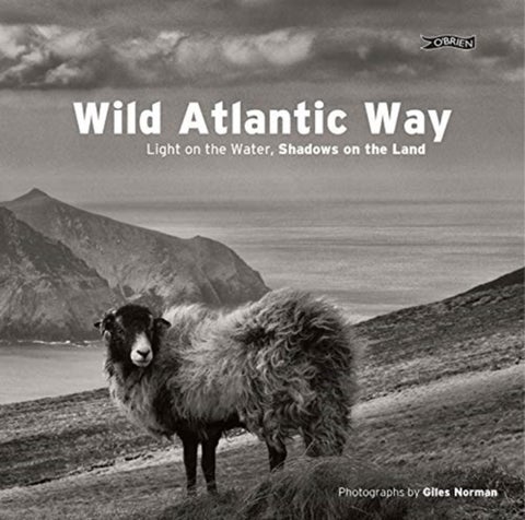 Wild Atlantic Way - Light on the water, shadows on the land