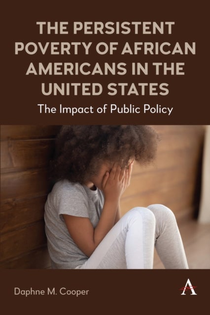 The Persistent Poverty of African Americans in the United States - The Impact of Public Policy