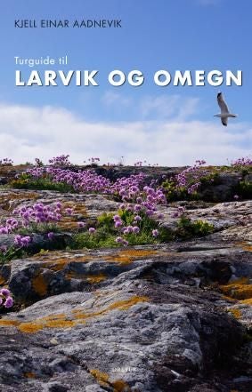Turguide til Larvik og omegn