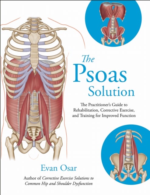 The Psoas Solution - The Practitioner's Guide to Rehabilitation, Corrective Exercise, and Training for Improved Function