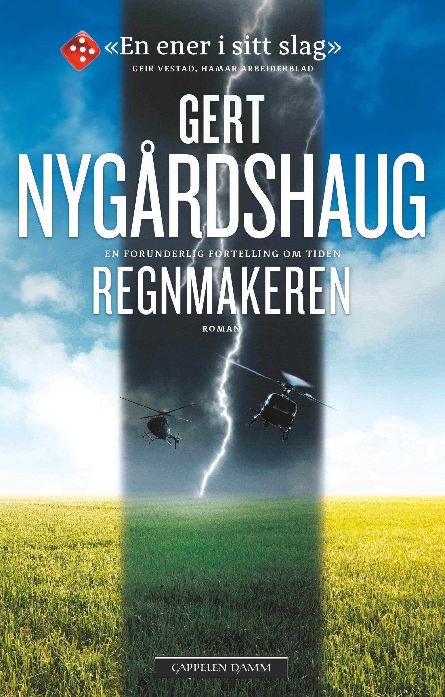 Regnmakeren - roman 2019