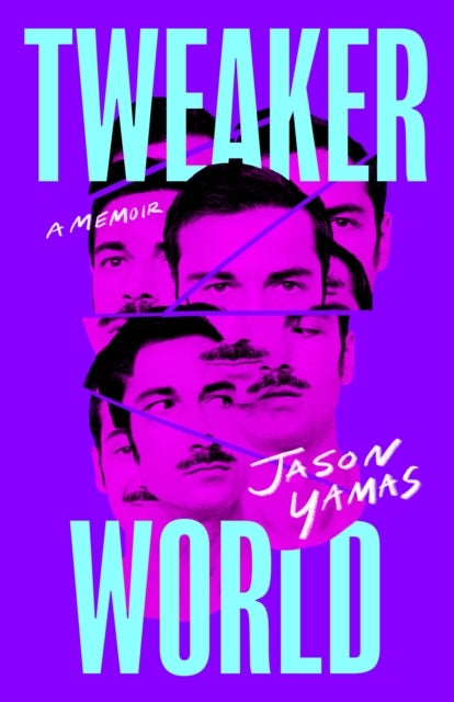 Tweakerworld - A Memoir