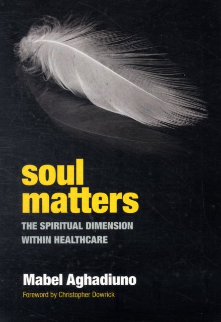 Soul Matters - The Spiritual Dimension Within Healthcare