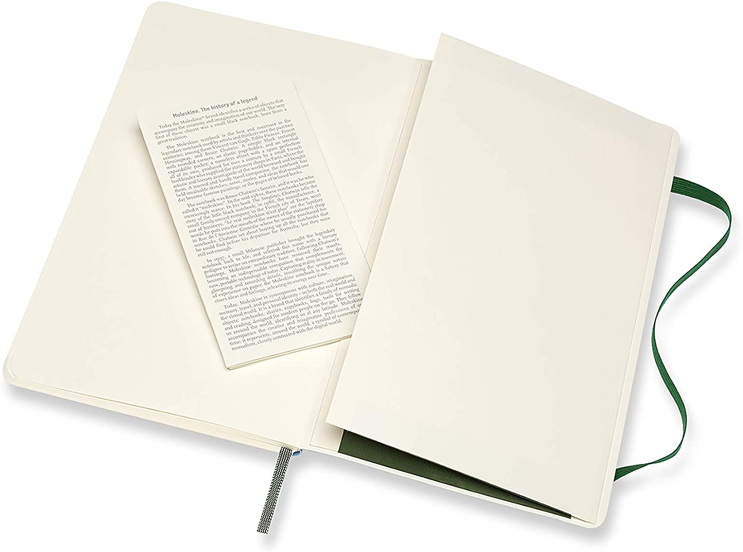 Notatbok Moleskine Classic Soft L - Blank Myrtle G