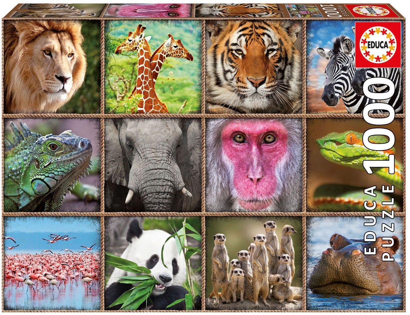 Puslespill 1000 Wild Animals Colla Educa