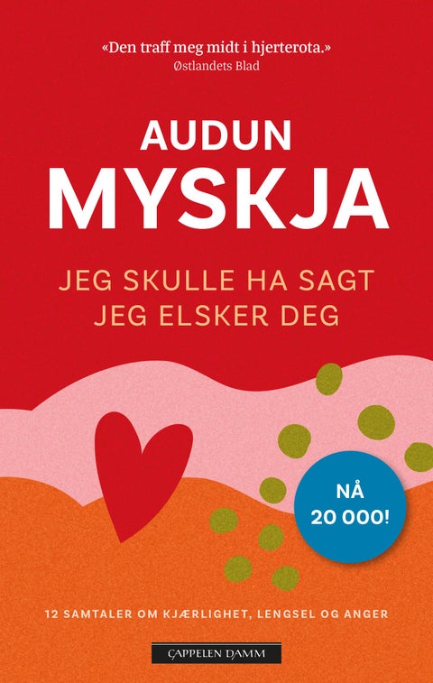 Jeg skulle ha sagt jeg elsker deg - 12 samtaler om kjærlighet, lengsel og anger ved li