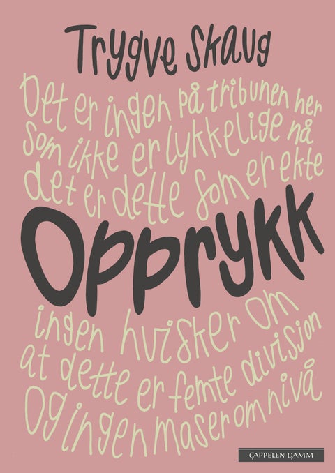 Opprykk - dikt