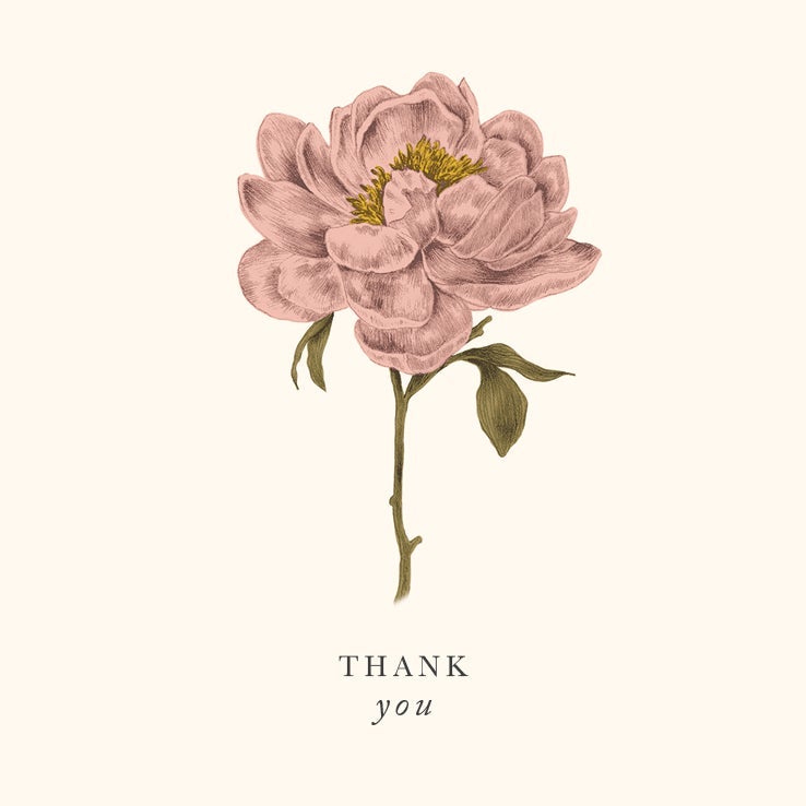 Kortmappe Thank You 10 Pk