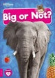 Big or Not?