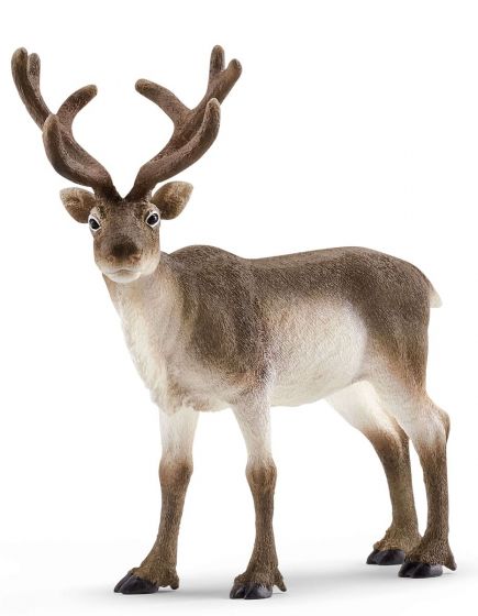 Schleich Reinsdyr