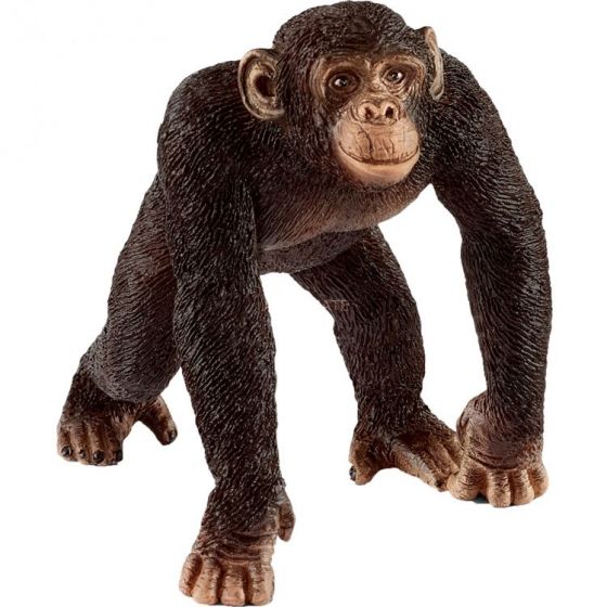 Schleich Sjimpanse hann