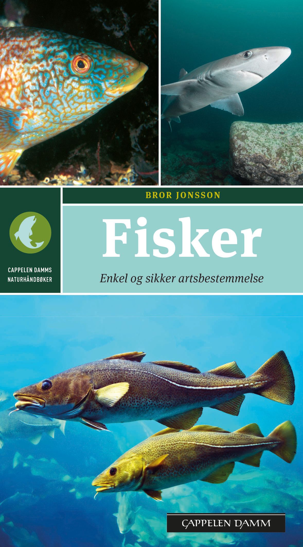 Fisker - enkel og sikker artsbestemmelse