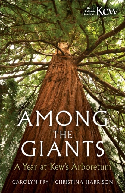 Among the Giants - A Year at Kew's Arboretum (Royal Botanic Gardens, Kew)
