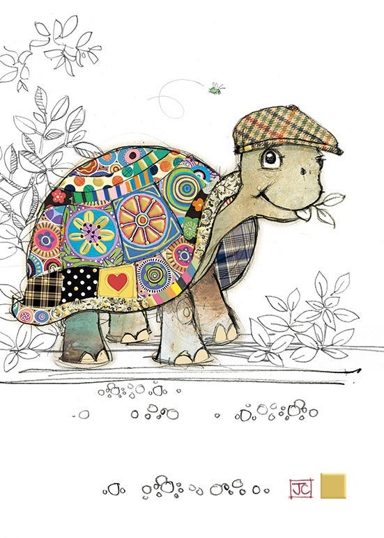 Doble kort 167x118 Kooks Tommy Tortoise