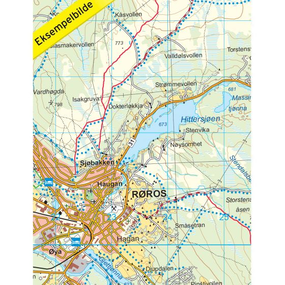 Røros 1:50 000